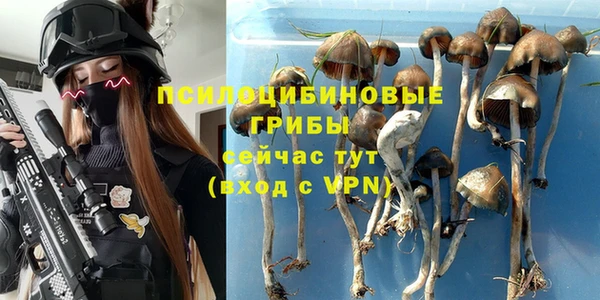 хмурый Арсеньев