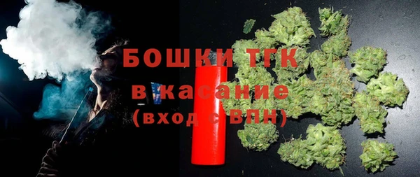хмурый Арсеньев